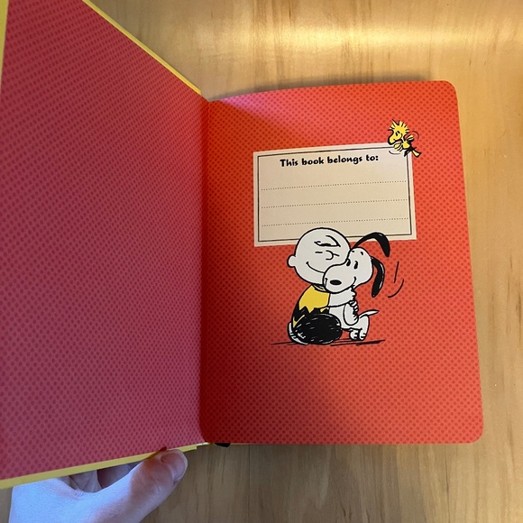 Peanuts Charlie Brown ZigZag Hardbound Journal - by Hallmark - Picture 4 of 11